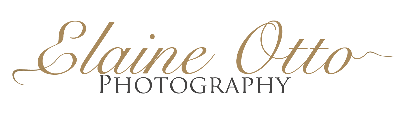 Elaine Otto Photography Logo
